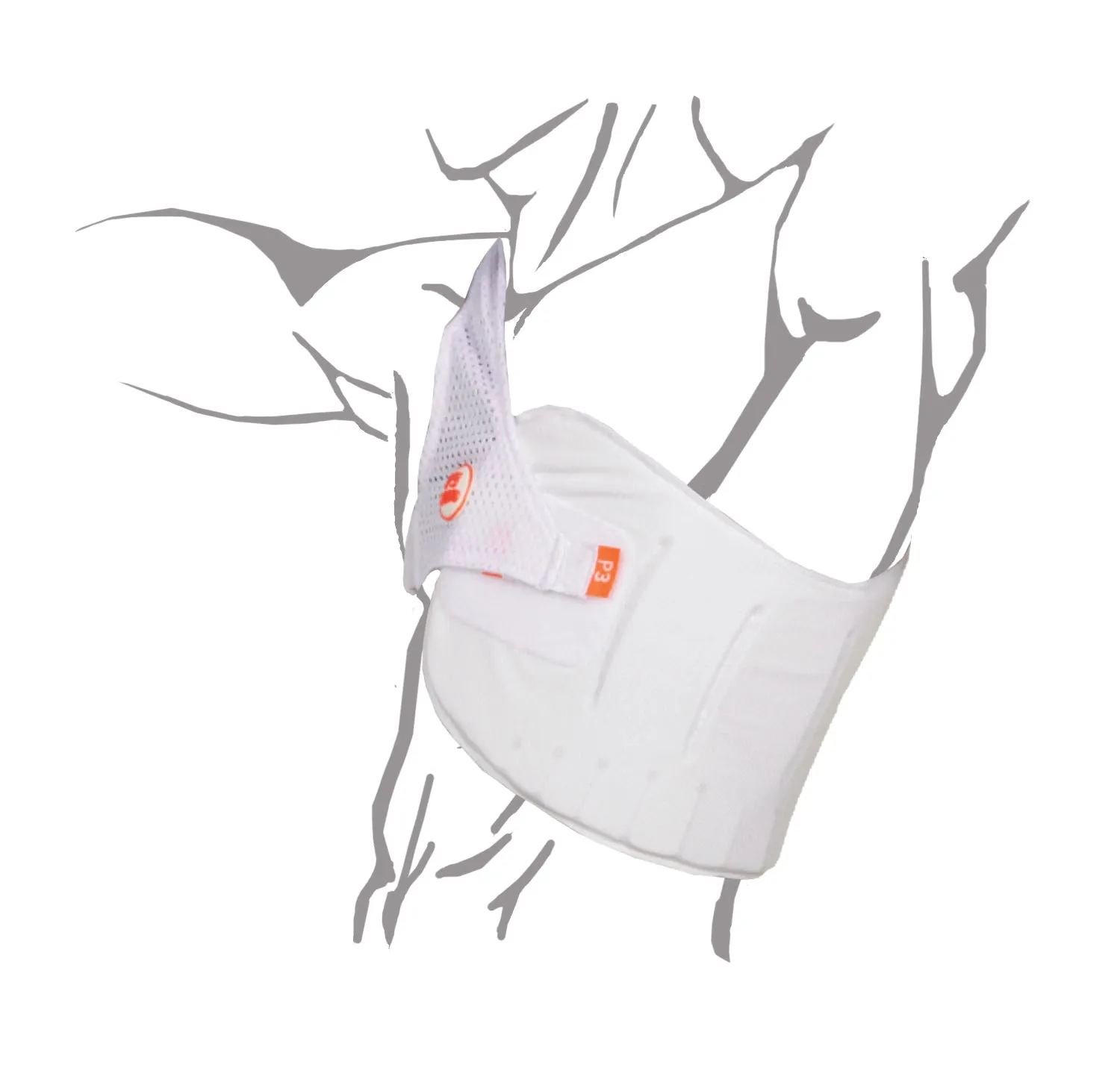 Aero P3 Chestprotector