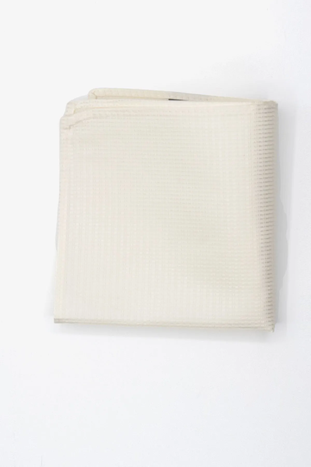 Alvajee | Textured Silk Hank
