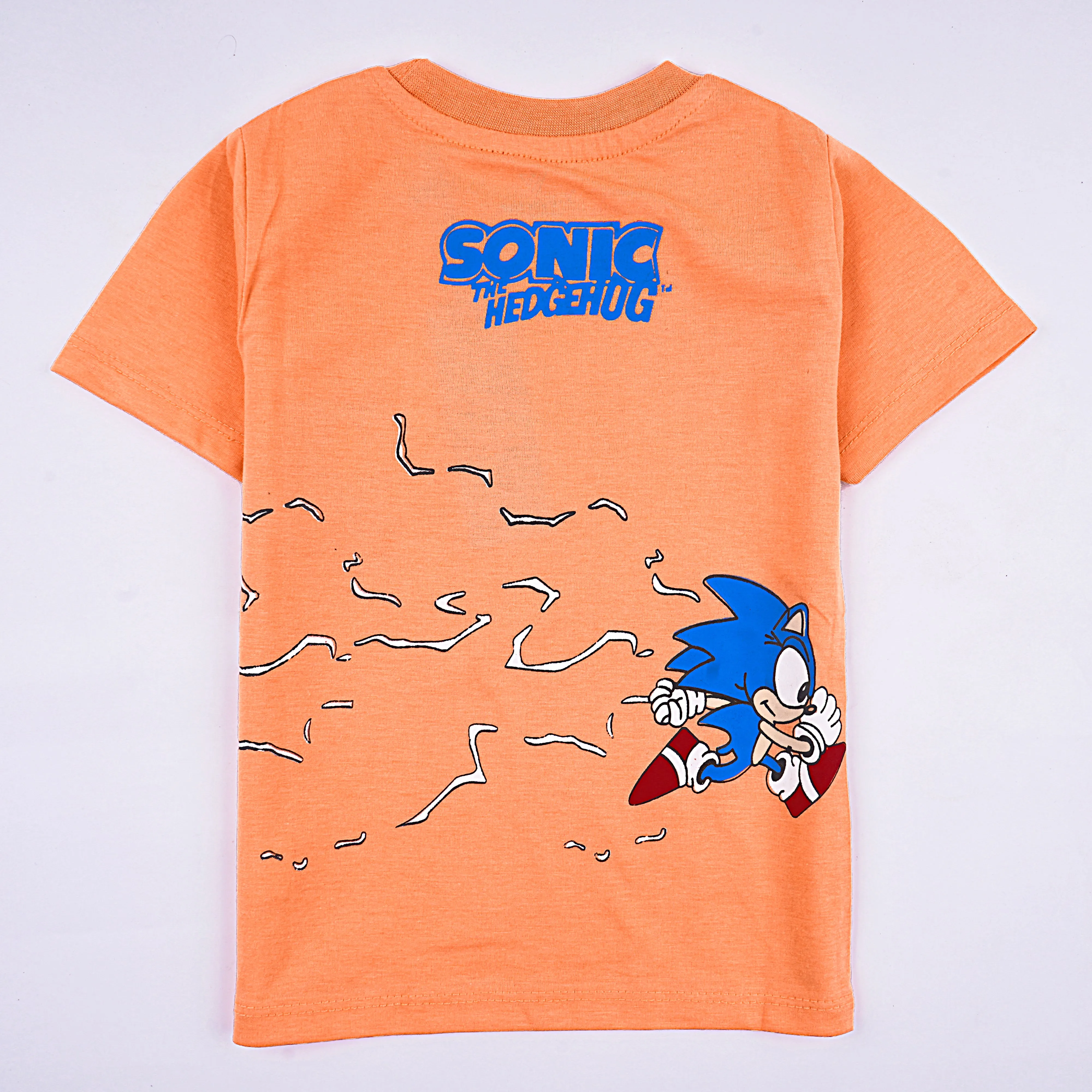 Boys Half Sleeves-Printed T-Shirt (Hedge-Hog)
