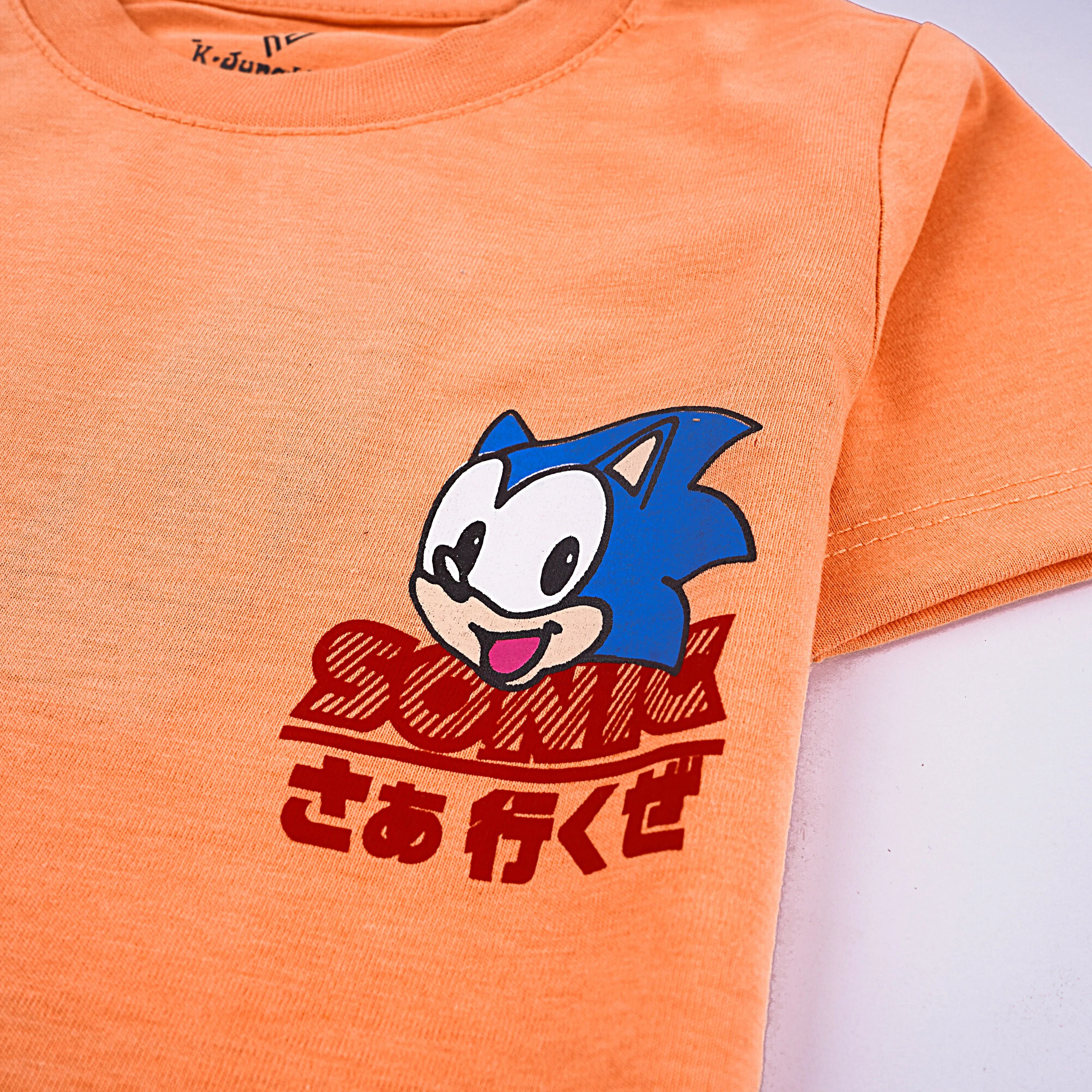 Boys Half Sleeves-Printed T-Shirt (Hedge-Hog)