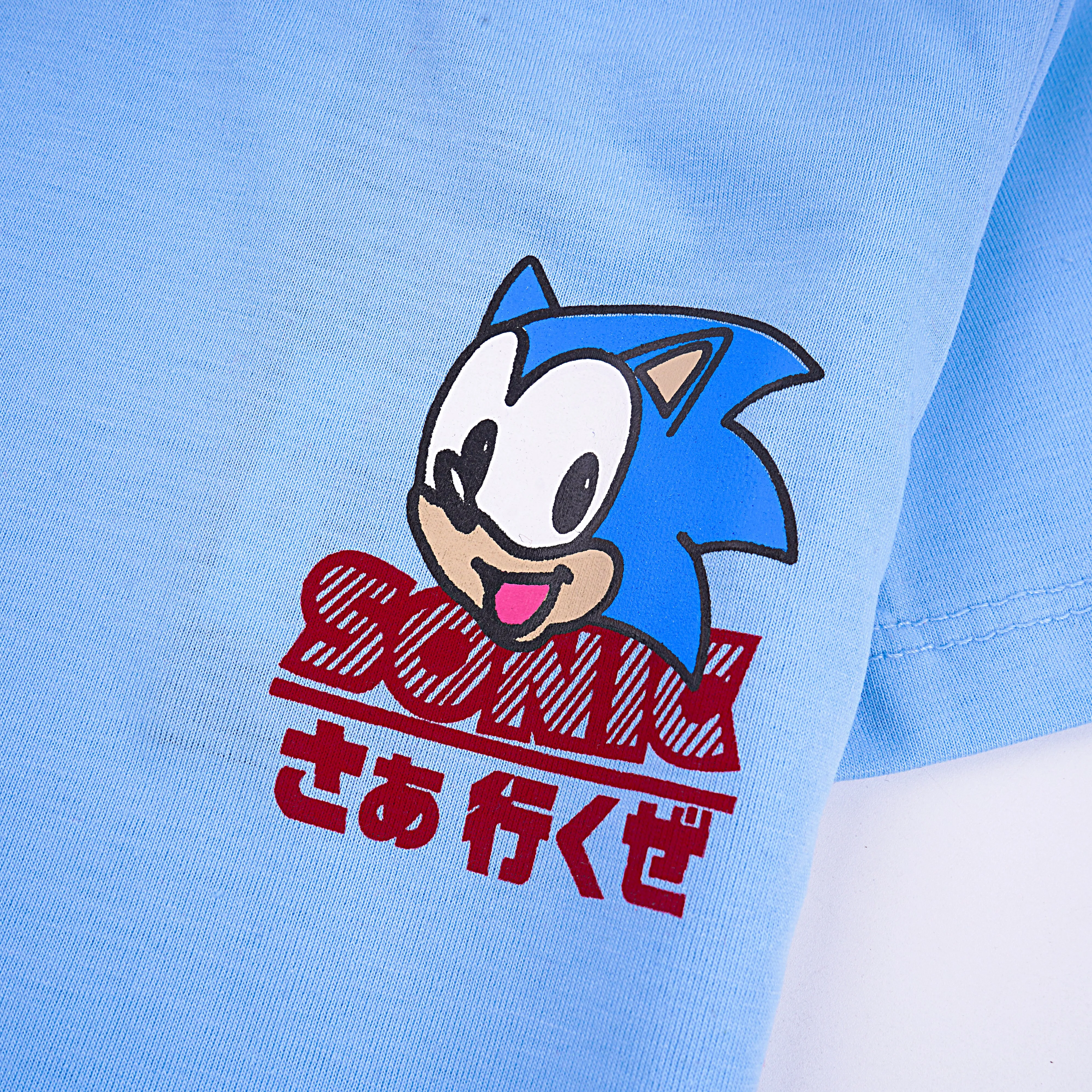 Boys Half Sleeves-Printed T-Shirt (Hedge-Hog)