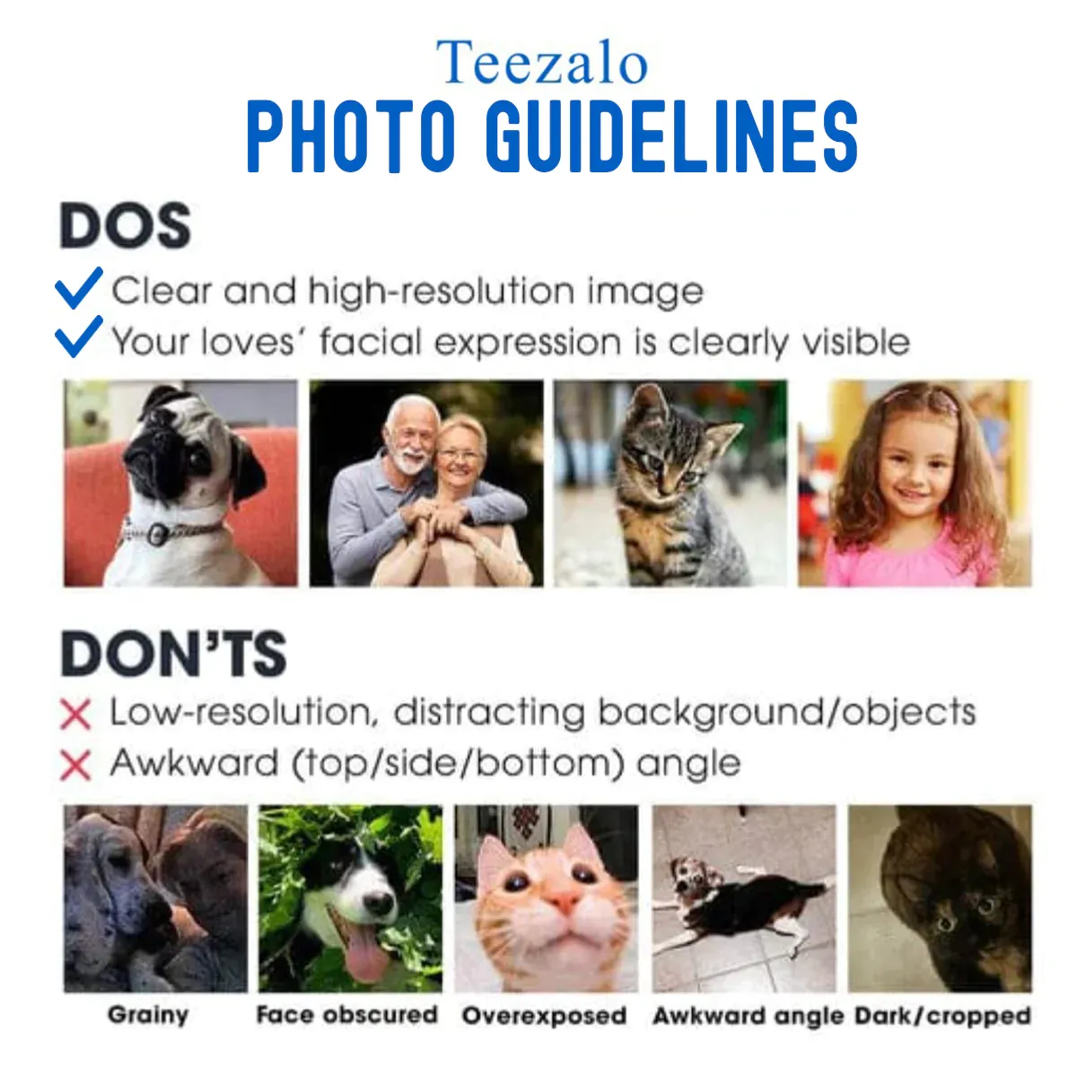 Custom Dog Breeds, Photo Slide Sandals