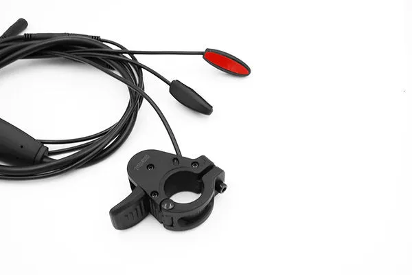 CYC 1T4 Main Wire Harness