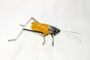 Feng Shui Silver Cricket