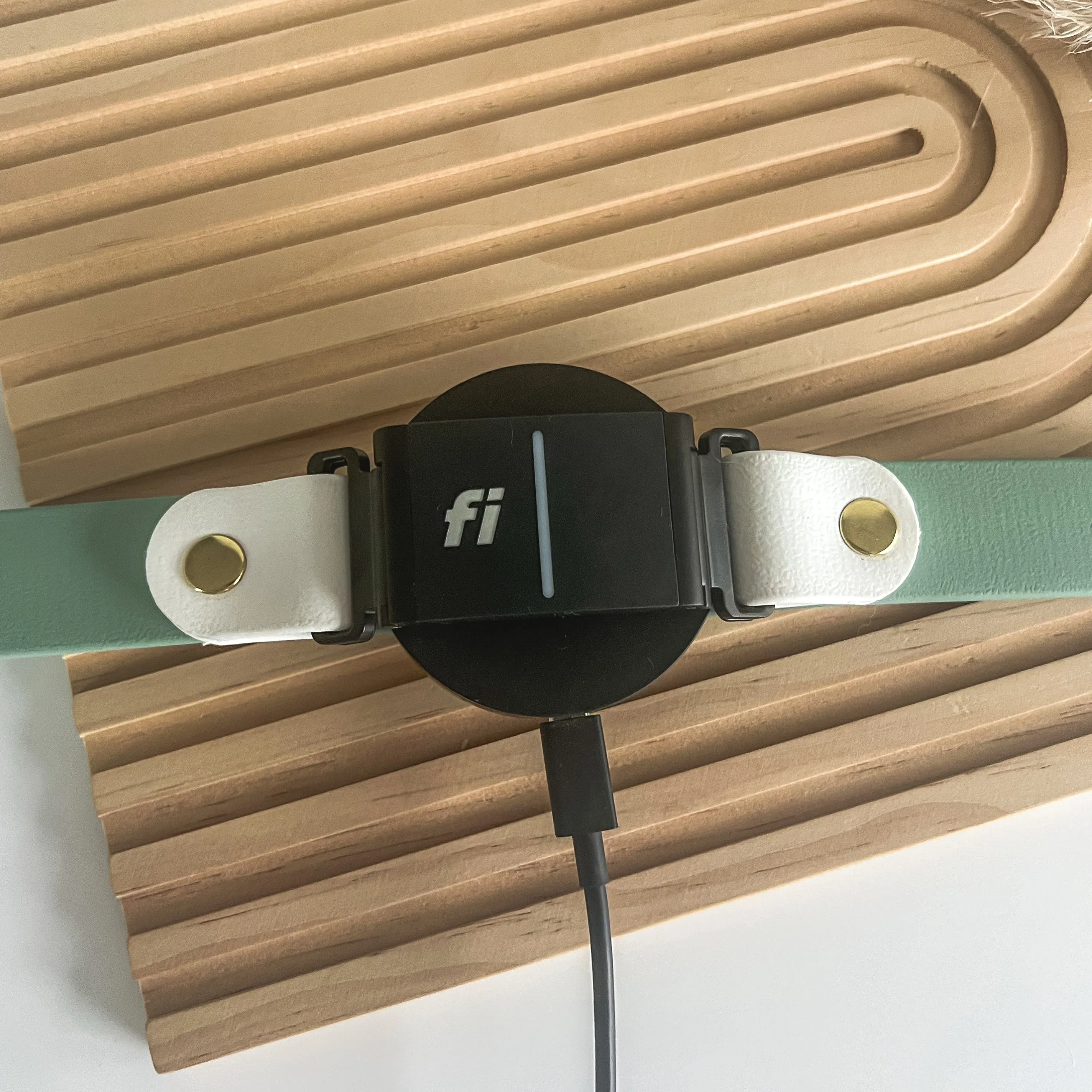 Fi Compatible  Waterproof Classic Collar