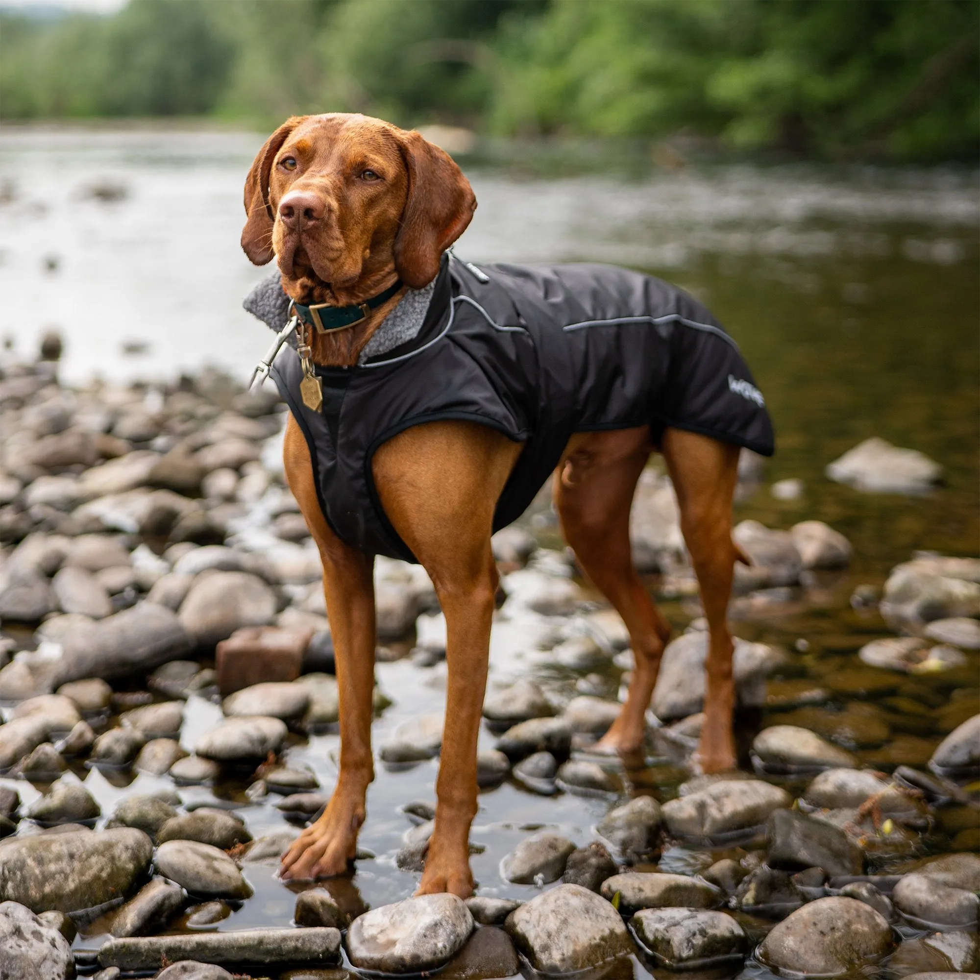 Fleece-Lined Waterproof Dog Robe