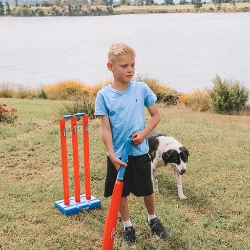 Formula Sports Cricket Set Deluxe Single
