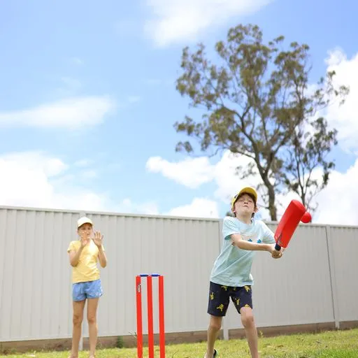 Formula Sports Cricket Set Deluxe Single