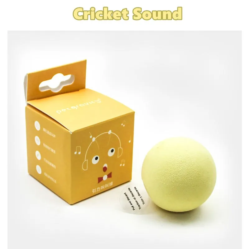 Fun Interactive Cat Ball