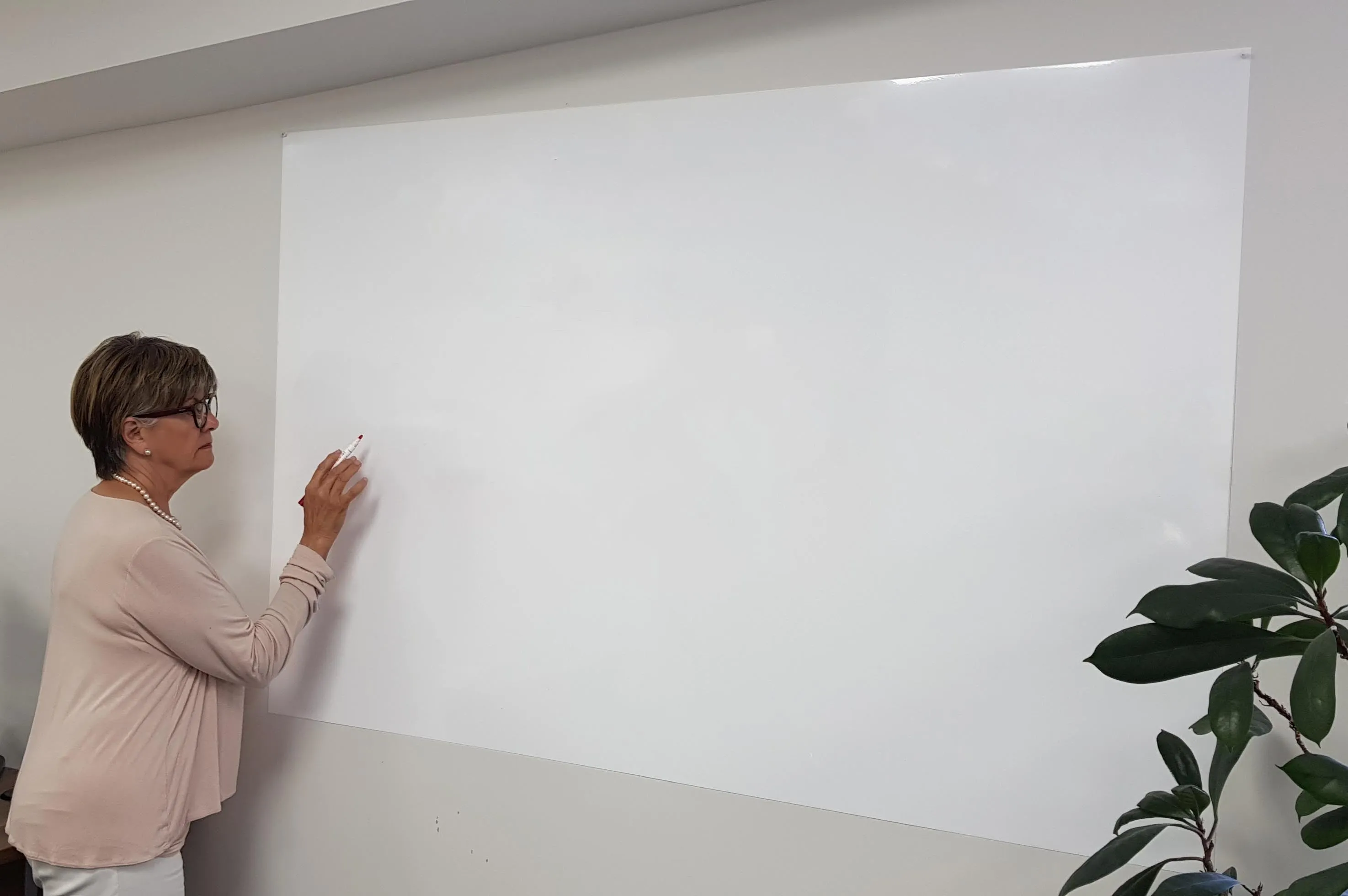 Giant Indoor/Outdoor Dry Erase Board