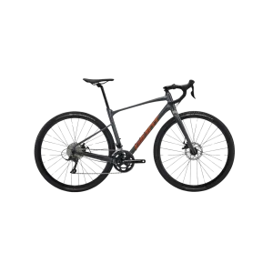 Giant Revolt 2 Gravel Bike  - Black Diamond