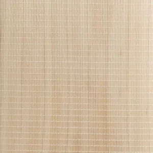 Gray Nicolls Fibretec