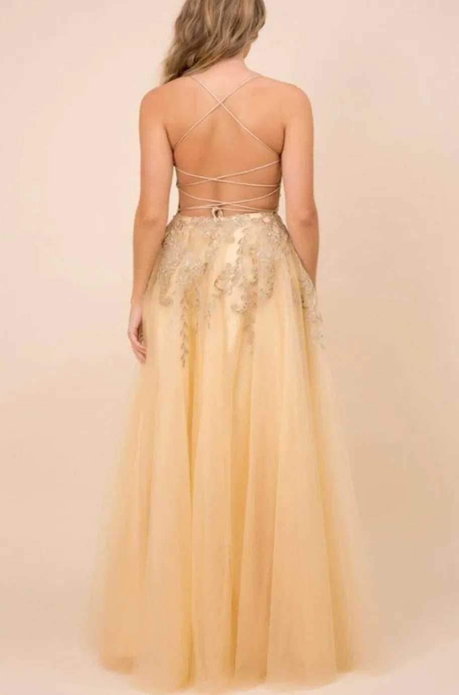 Gwyenth Gold Embellished Gown