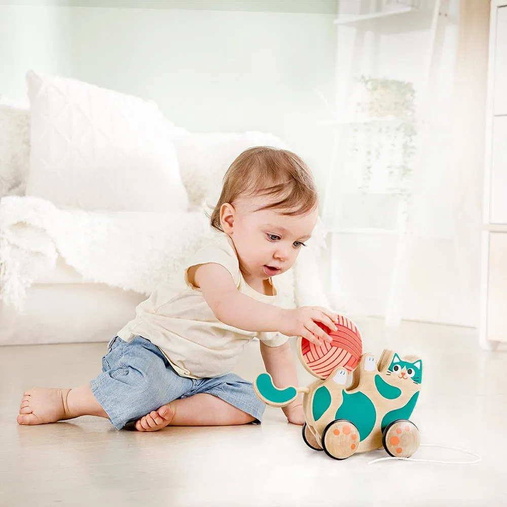 Hape Roll & Rattle Kitten