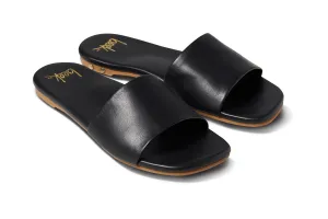 HONEYBIRD - Black