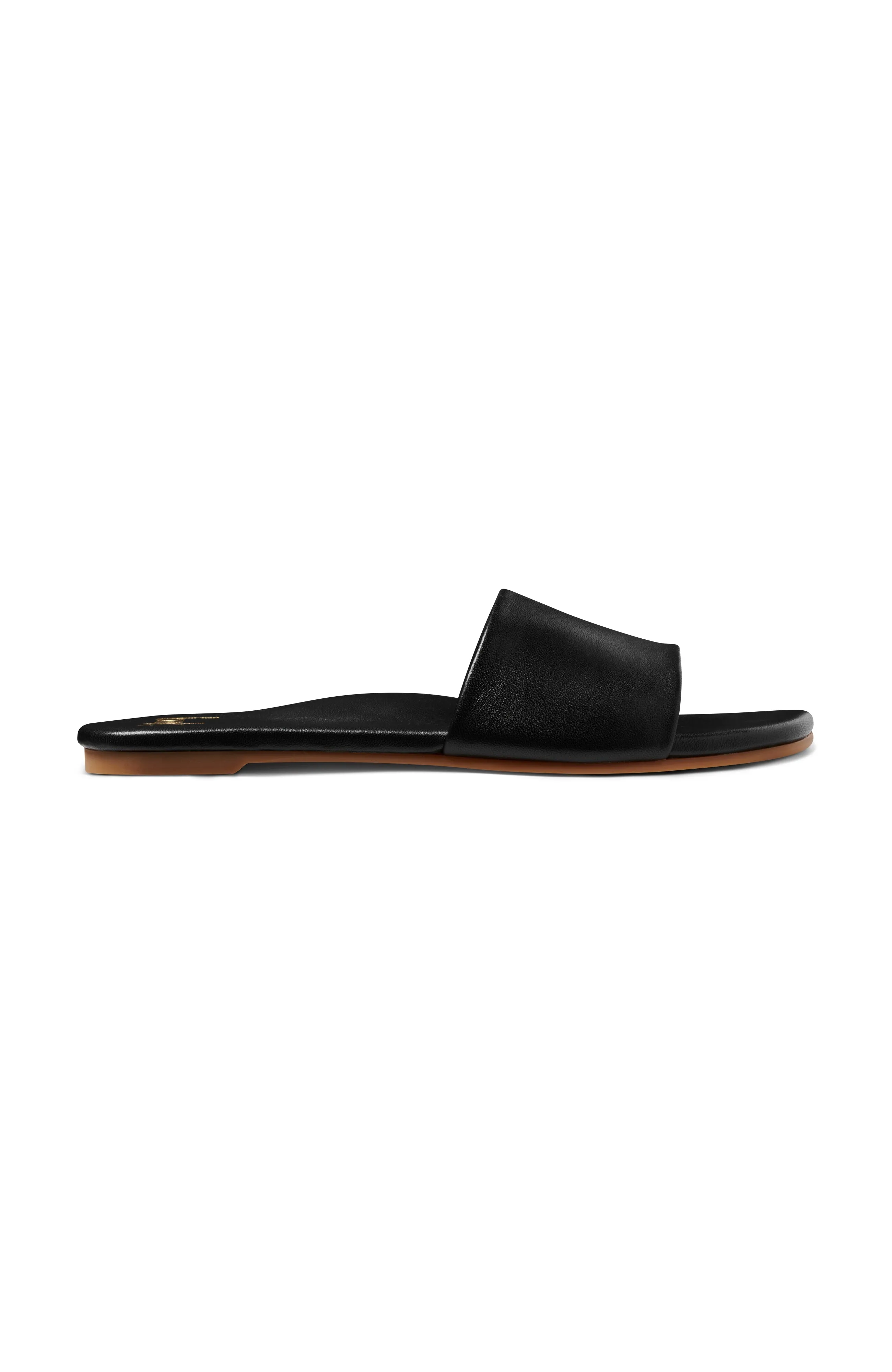 HONEYBIRD - Black