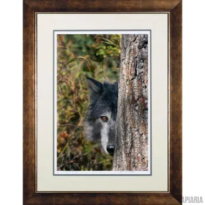 Jim Cunningham "Eye Of the Wolf"