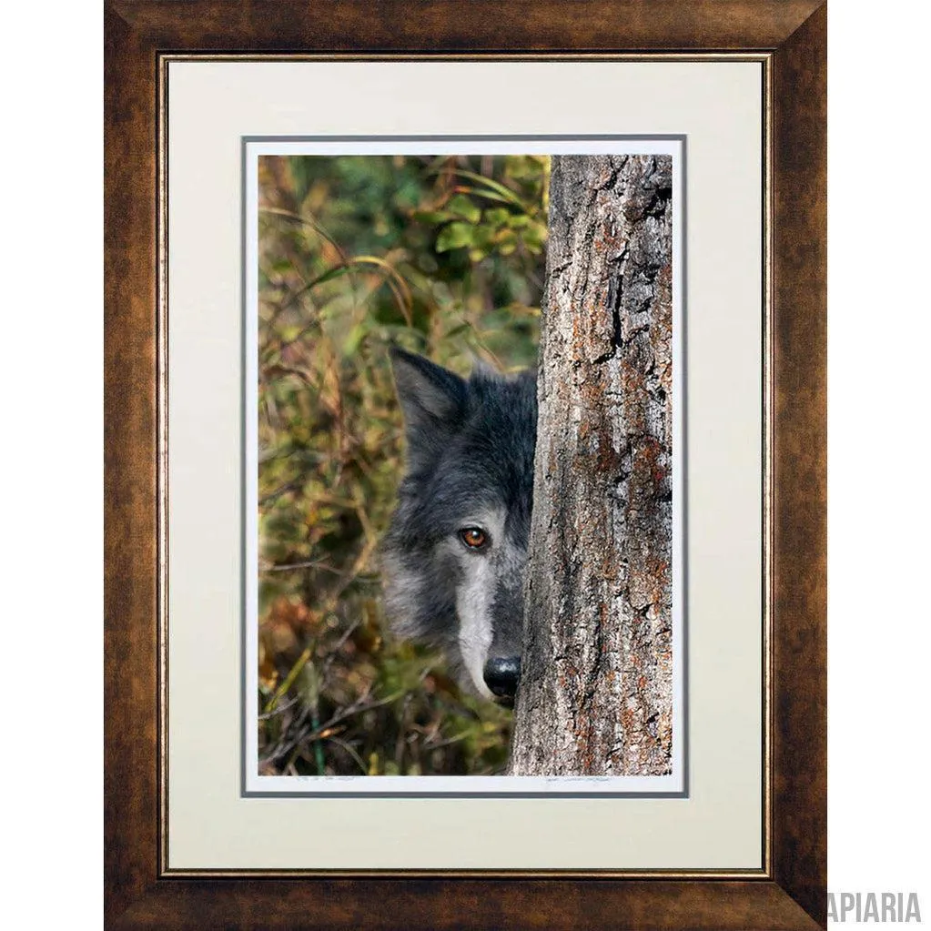 Jim Cunningham "Eye Of the Wolf"