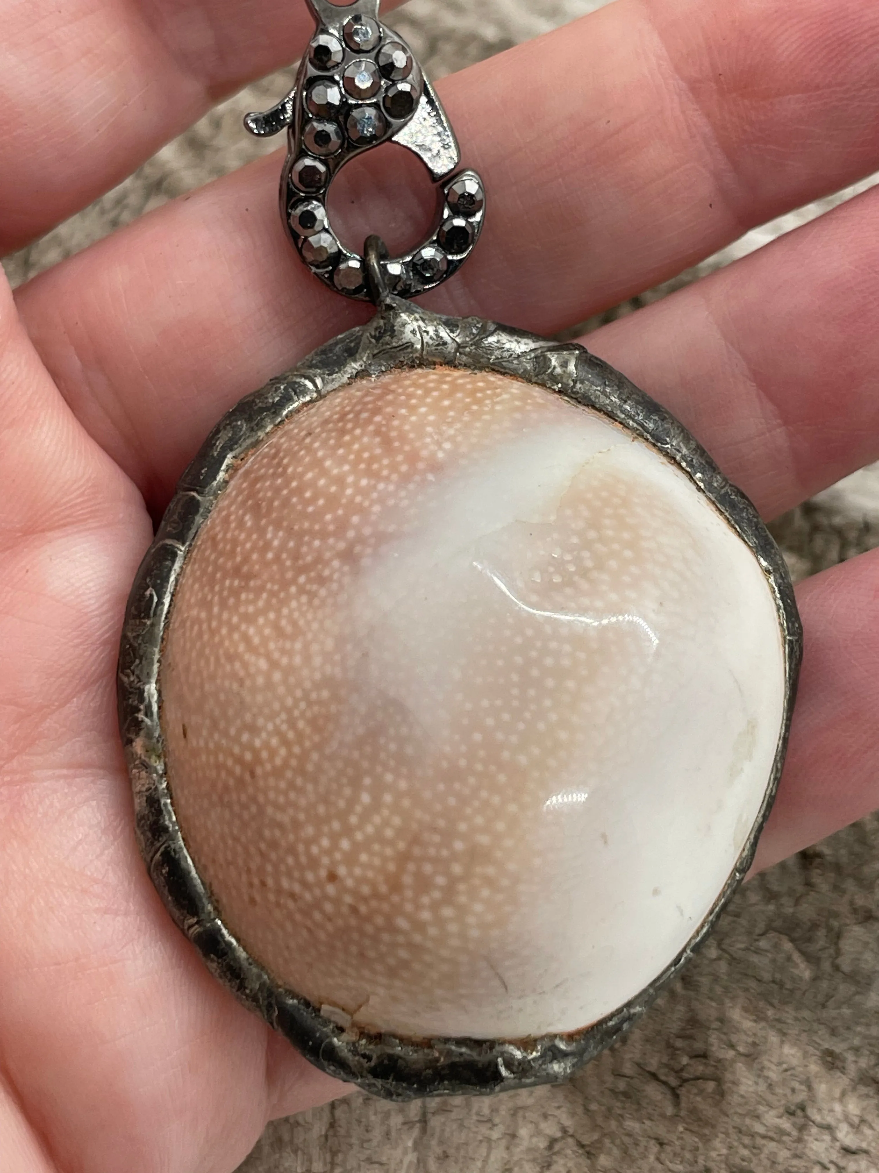 Leather and Shell