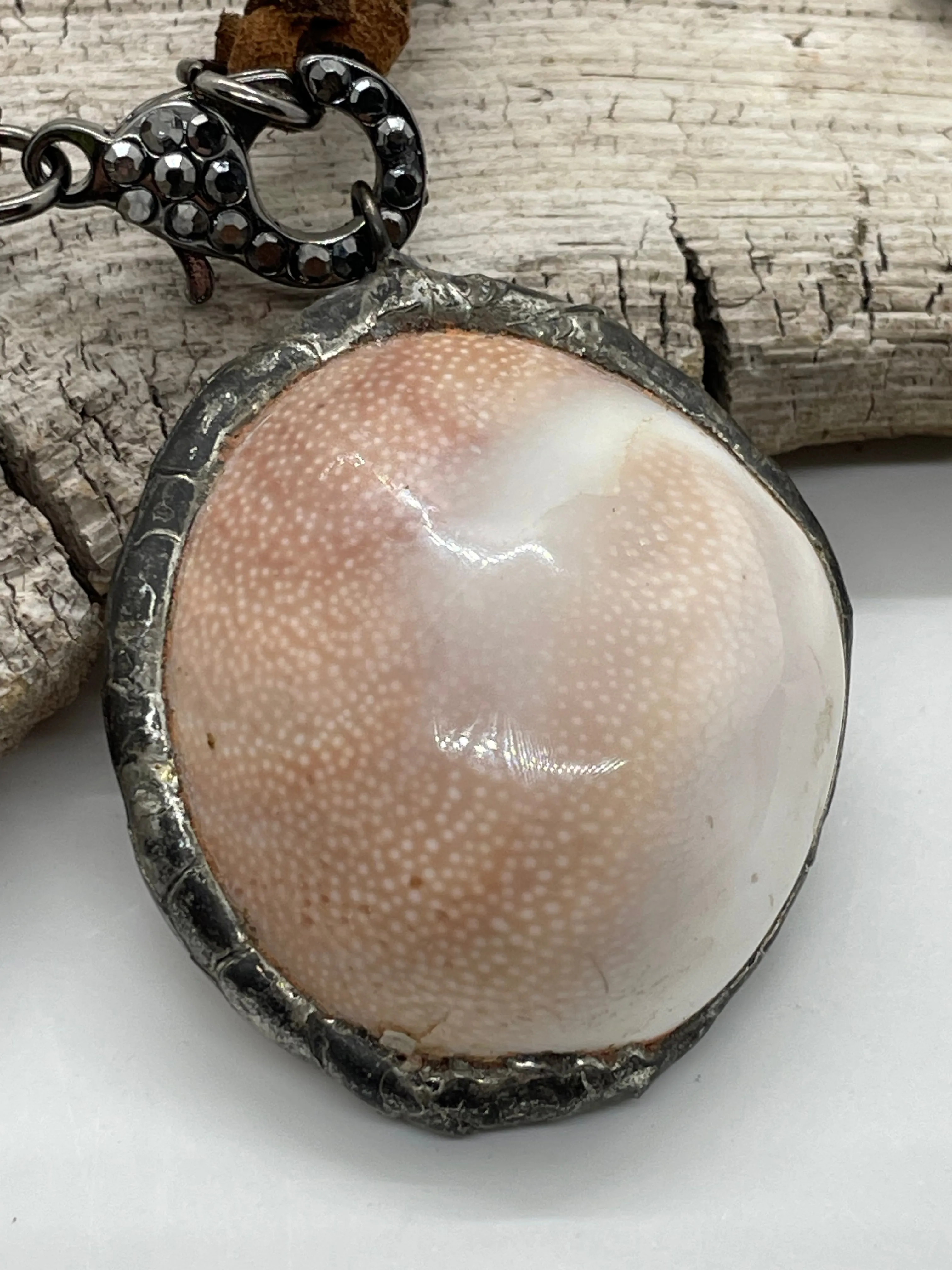 Leather and Shell