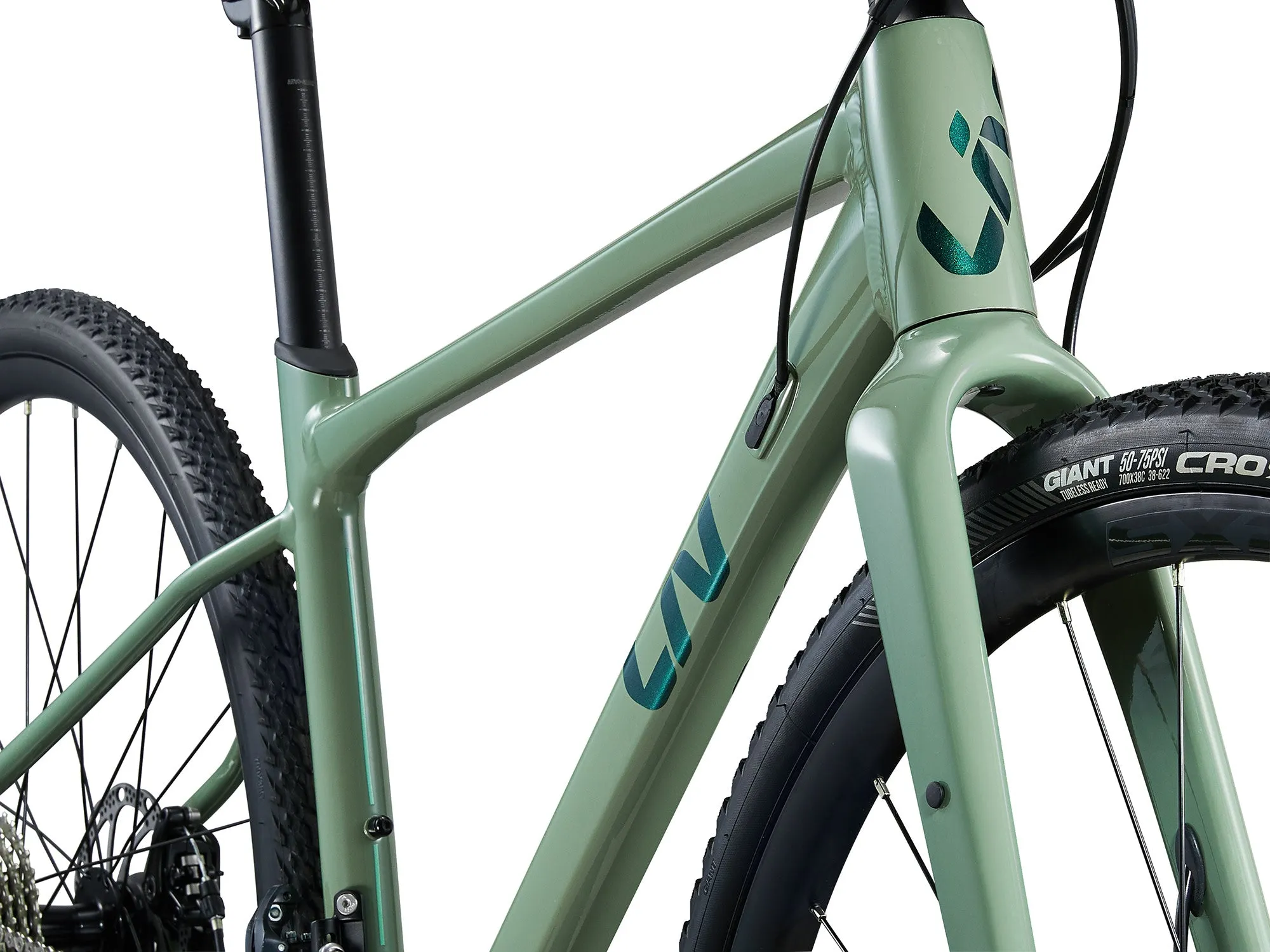 LIV DEVOTE 2 2024