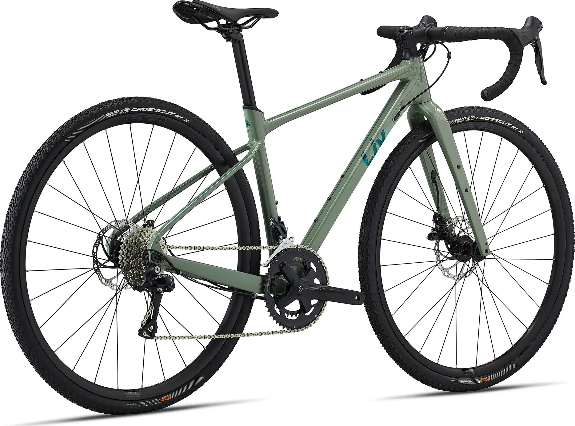 LIV DEVOTE 2 2024