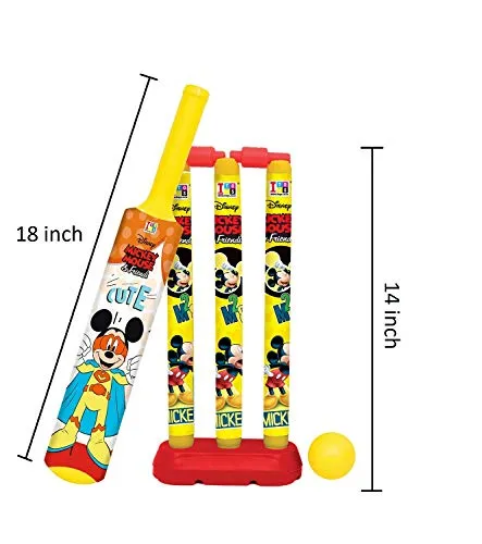 MANAKI ENTERPRISE Cricket Kit Set for Kids 3 Stumps with 1 Bat and 1 Ball for Playing Perfect Cricket Combo Set ( 18 inch.Cricket Set)