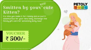 New Kitten Card