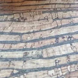 Round Wood and Cork Bar Tray | Bark Tray