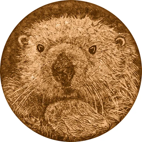 Sea Otter Cork Coaster
