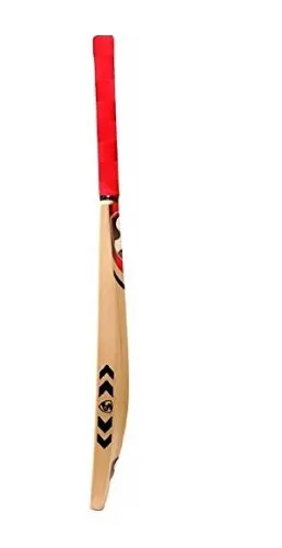 SG Ibat Kashmir Willow Cricket Bat ( Size: Short Handle,Leather Ball )