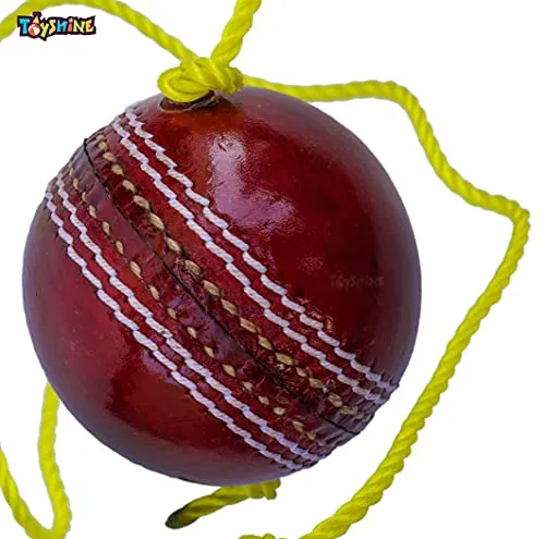 Toyshine SSTP Leather Hanging Cricket Ball for Shot Practice , Red