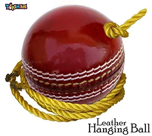 Toyshine SSTP Leather Hanging Cricket Ball for Shot Practice , Red