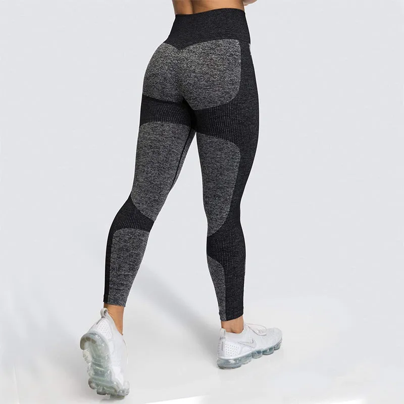 Women's Fantasy Full Length High Rise Legging - Black